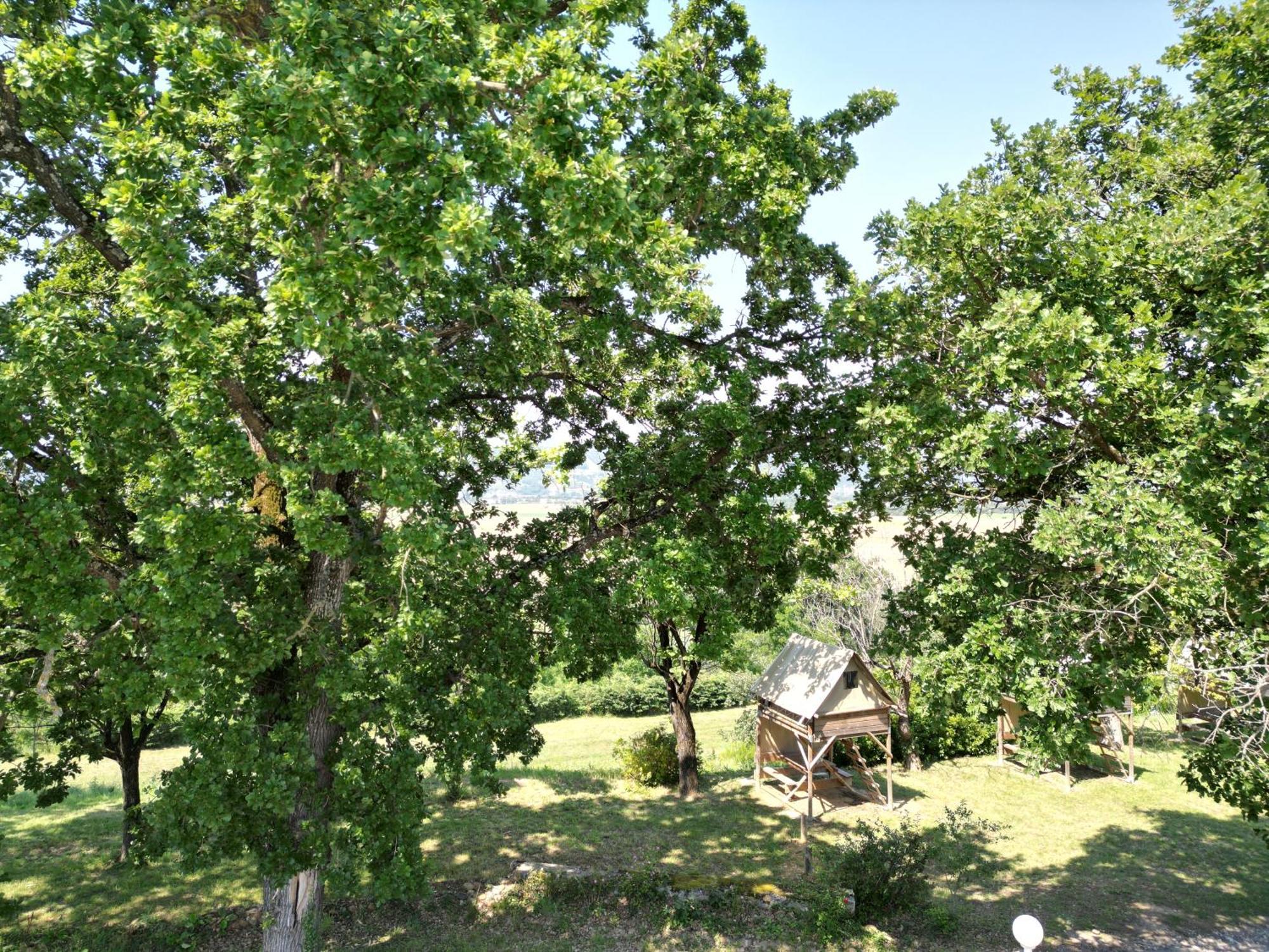 Camping Domaine De Senaud Albon المظهر الخارجي الصورة